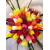 Beautiful Tulips + 5,800KSh