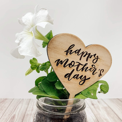 Mother’s Day flower package